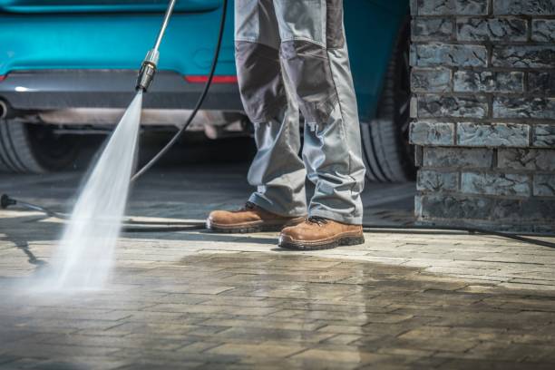 Best House Exterior Washing  in Cold Spring, KY